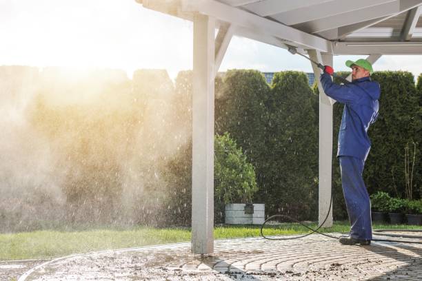 Best Dumpster Area Cleaning  in Albany, GA